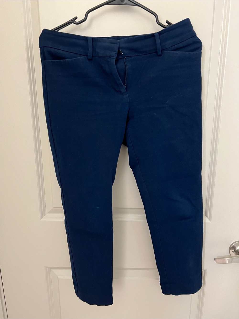 Ann Taylor Dark Navy Ankle-Length Slim Cropped Pants